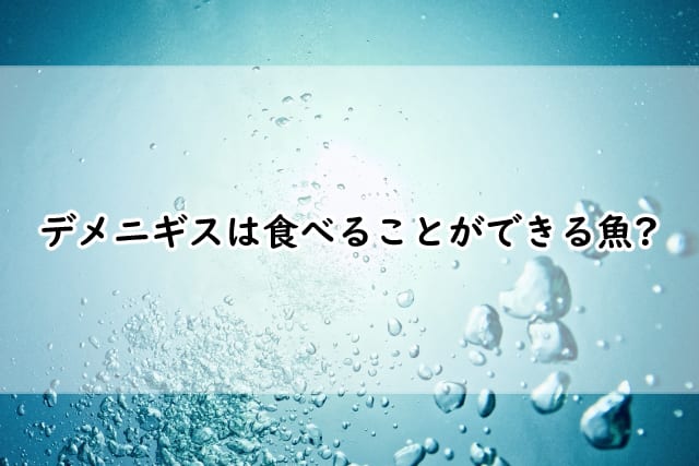デメニギスは食べることができるの?水揚げが日本でされる場合もある?