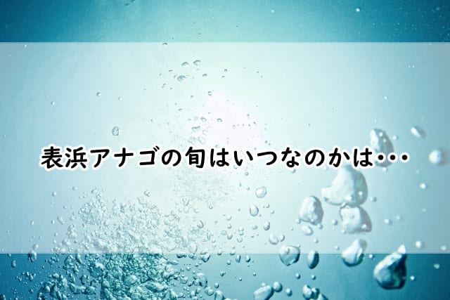 表浜アナゴの旬はいつ?宮城で穴子丼が食べることが出来る店も