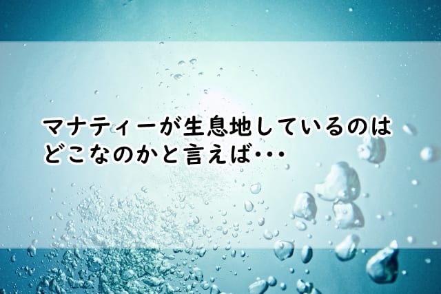 マナティーが生息地しているのはどこ?水族館だと日本にはここにいた?