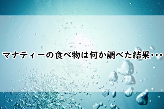 マナティーの食べ物はなに?キャベツを食べるって本当なの?