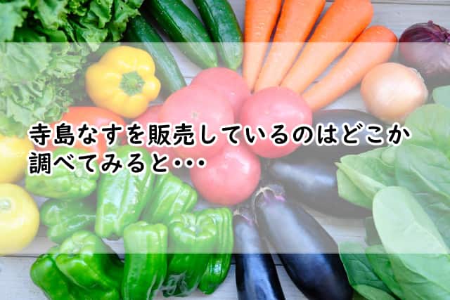 寺島なすを販売しているのはどこ?通販でも売ってないか調べてみると?