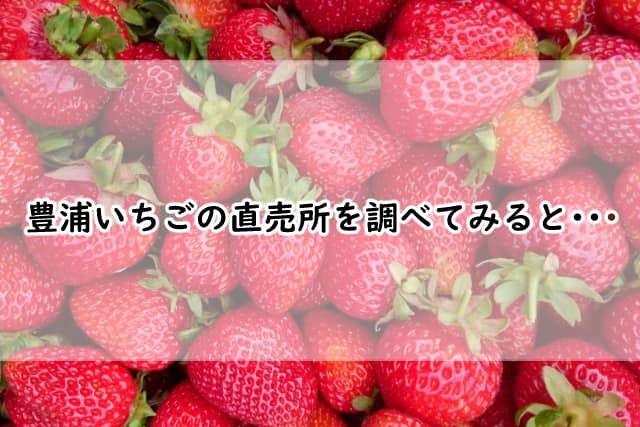 豊浦いちごの直売所はどこ?販売しているのはどこなのか調べてみると?